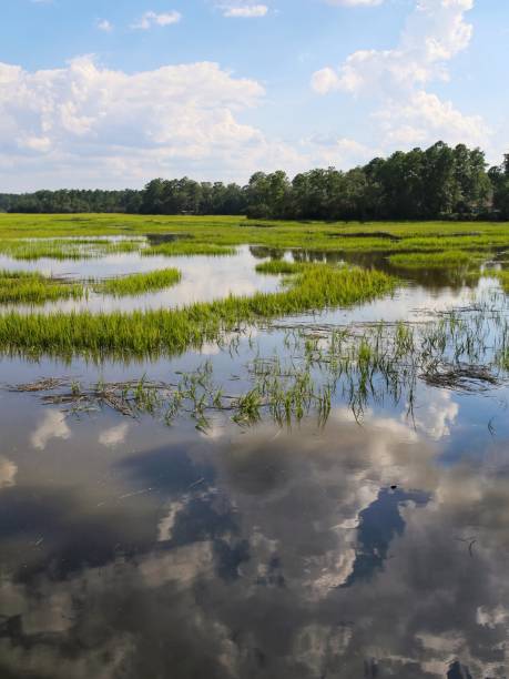 istock South Carolina Brackish Water Sky Clouds Reflection 903858872