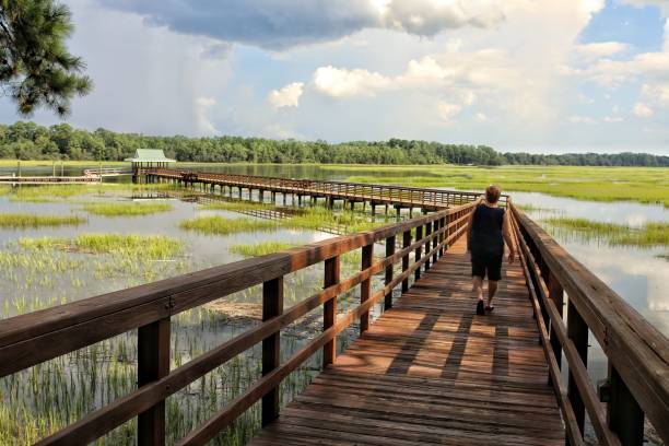 istock Woman Walking on Pier, Brackish Water Sky Clouds Reflection 903861104