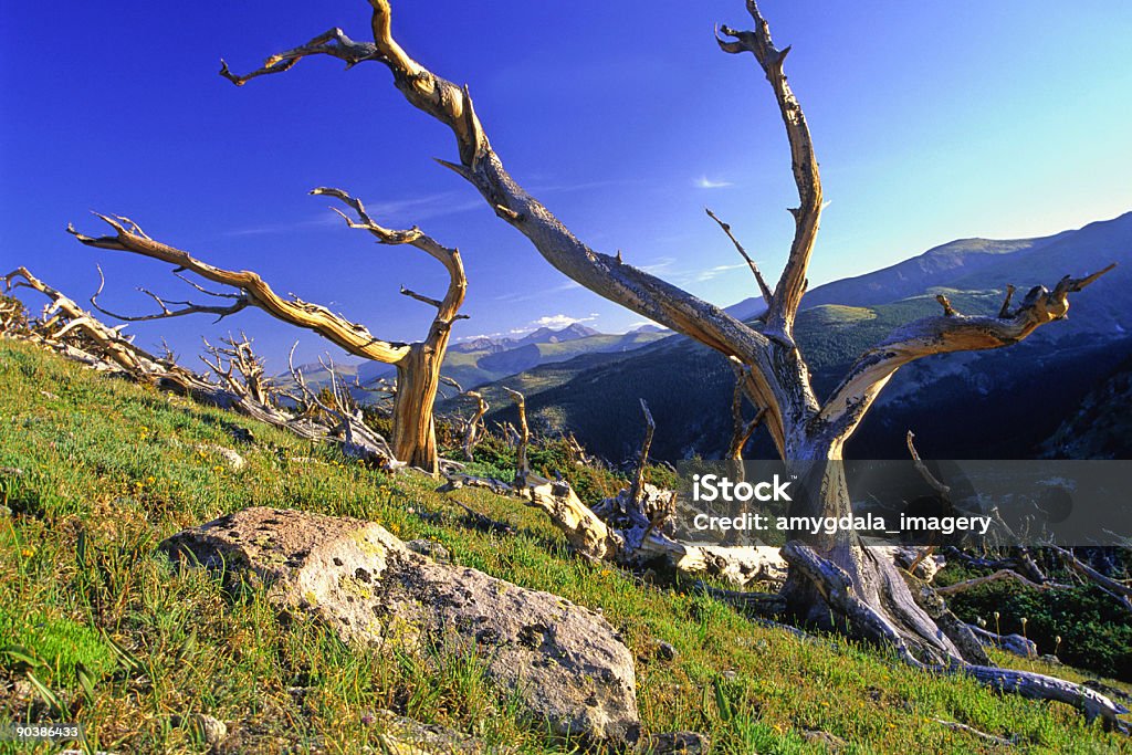 mountainside verwitterten-Landschaft - Lizenzfrei Alm Stock-Foto