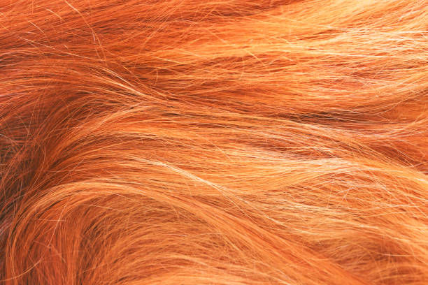 istock Red woman hair texture. Selective focus. Abstract background. 903865320