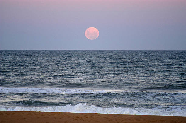 Photo of Moon rise