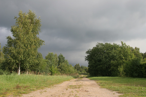 road through the forest in the stormy summer day