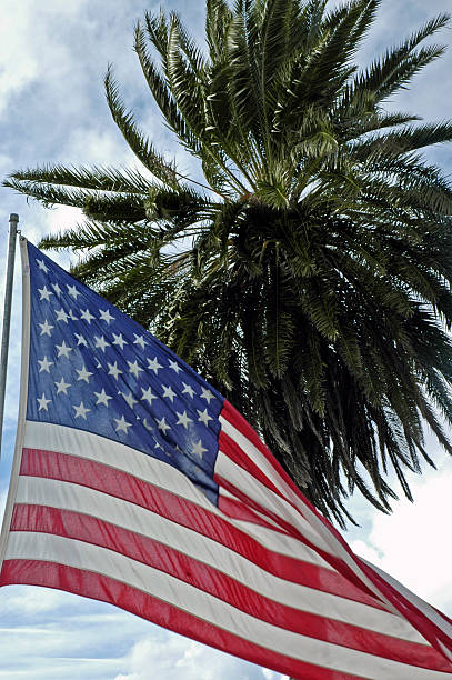 istock American flag in the wind with palm behind 90387126