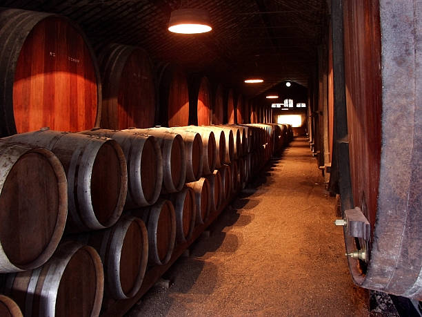 Wine Cellar stock photo
