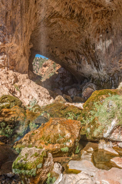 scenic natural bridge arizona - natural bridge state park foto e immagini stock