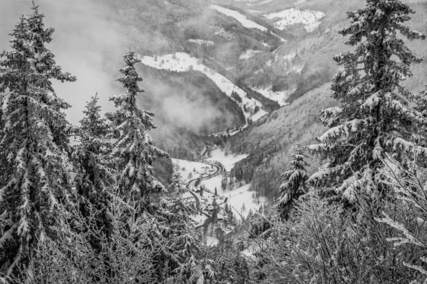 흑인과 백인 사진 냉동 추운 겨울 아침에 "가족이"에서 가져온 "wiesental" 계곡. - cross country skiing black forest germany winter 뉴스 사진 이미지