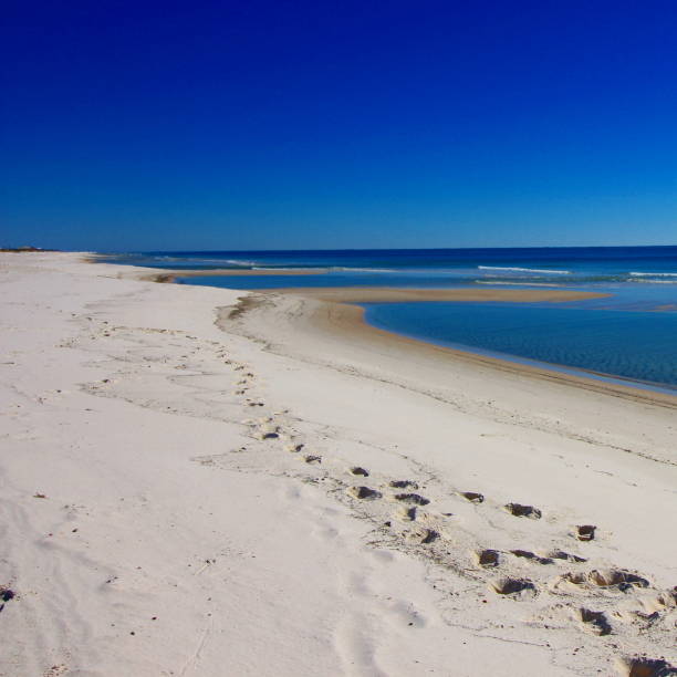 istock Gulf Shores beach coastline square 903885734