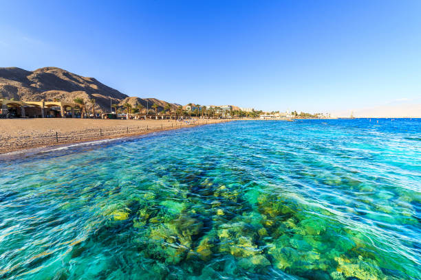 istock View of beach in Eilat, Israel 903885982