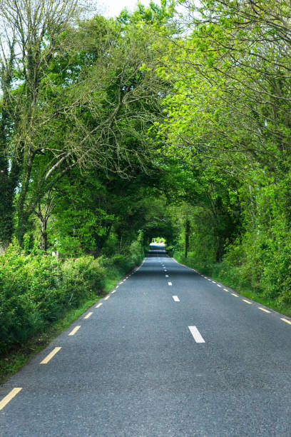 istock Road in Rural Ireland 903888188
