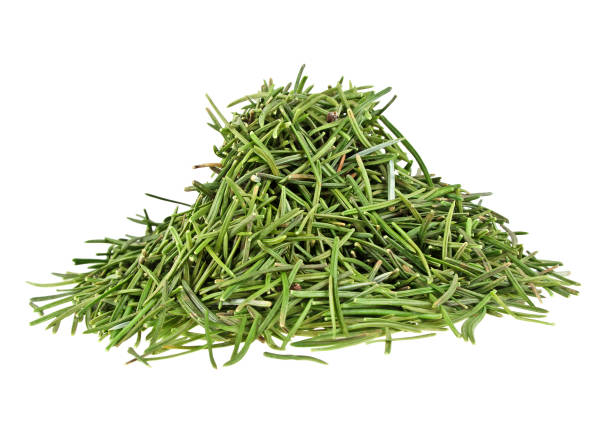 istock Dried fir needles after christmas, isolated on a white background 903888604