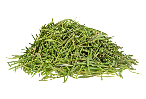 istock Dried fir needles after christmas, isolated on a white background 903889138