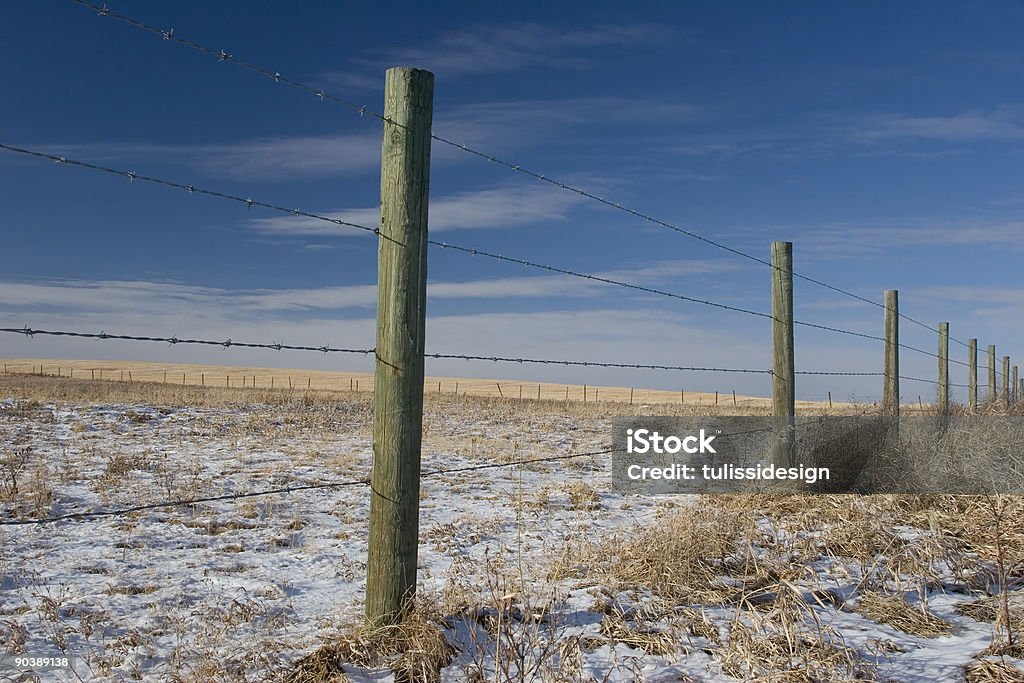 Barbed Wire Fence  Prairie Stock Photo