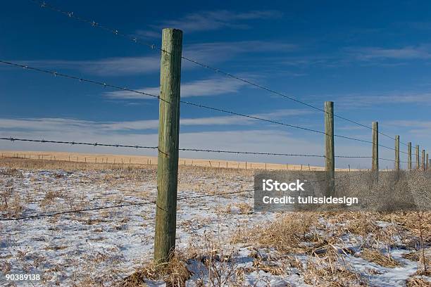 Barbed Wire Fence Stock Photo - Download Image Now - Prairie, Snow, Wrapped
