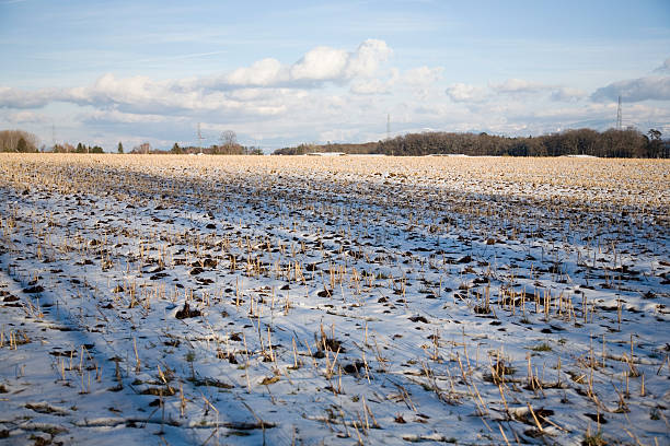 Country under the snow stock photo