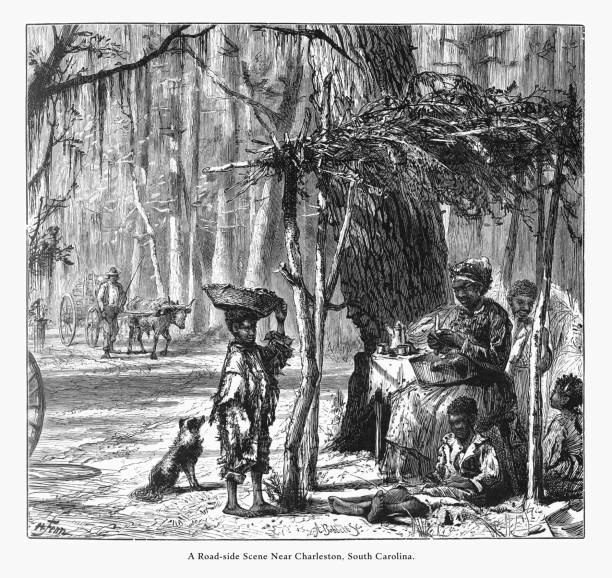 illustrazioni stock, clip art, cartoni animati e icone di tendenza di roadside scene near charleston, carolina del sud, stati uniti, american victorian engraving, 1872 - 1870