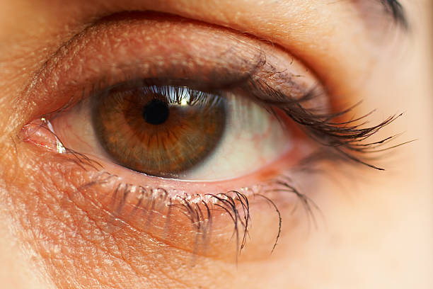 istock sharp and detail macro of eye 90389796