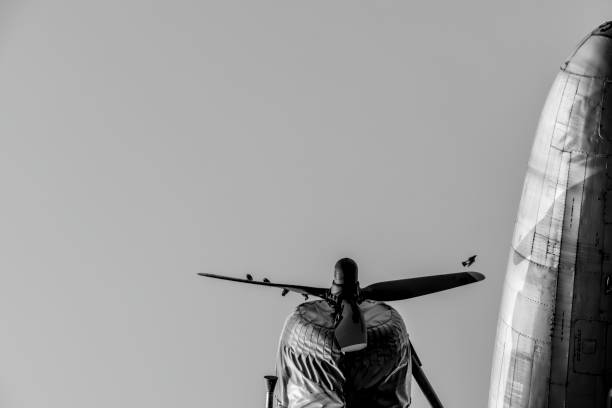 istock Low Angle View Of Airplane Against Clear Sky 903907446