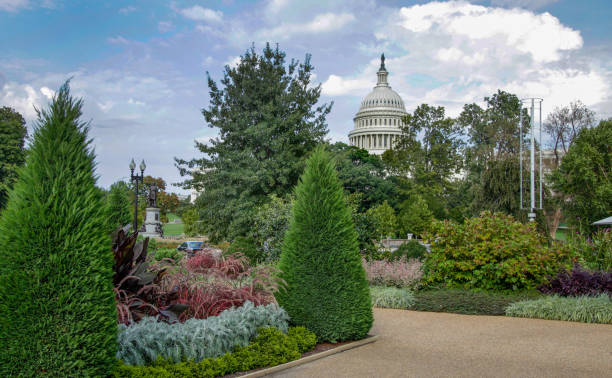 vista del jardín botánico norteamericano del capitolio de estados unidos en washington, dc - jardín botánico fotografías e imágenes de stock