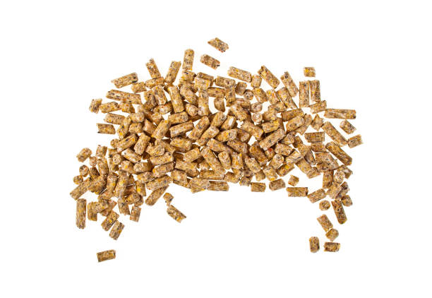 istock Pelleted compound feed Isolated on white background, wheatfeed pellets 903907998