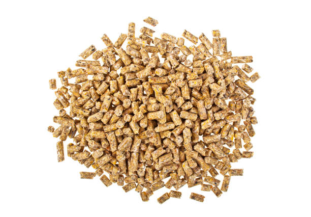 istock Pelleted compound feed Isolated on white background, wheatfeed pellets 903908020