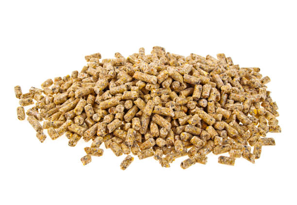 istock Pelleted compound feed Isolated on white background, wheatfeed pellets 903908026