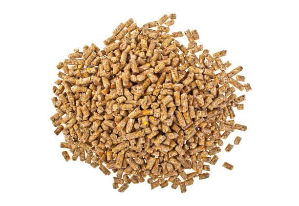 istock Pelleted compound feed Isolated on white background, wheatfeed pellets 903908036