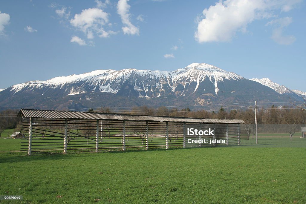 Hay carré et les Alpes - Photo de Alpes européennes libre de droits