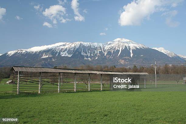 Hay Stojaku I Alpy - zdjęcia stockowe i więcej obrazów Alpy - Alpy, Bez ludzi, Bled