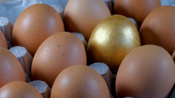 istock Cardboard cassette with dark and one golden eggs 903912170