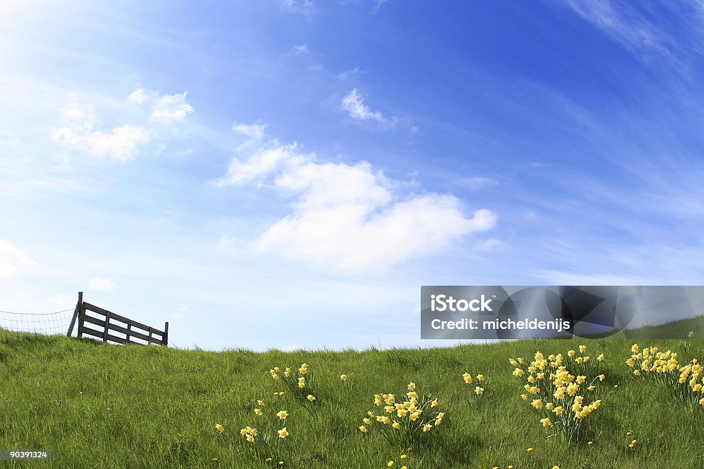 Paisaje de sol - Foto de stock de Cielo libre de derechos