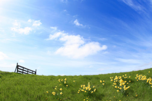 Wide angle shot of a sunny landscape with dike, fence, wild flowers and beautiful sky. (15mm Fisheye)