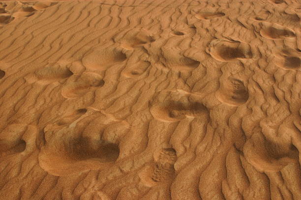 Dunas de areia e pé imprime - fotografia de stock