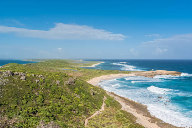 istock Guadeloupe, panorama from the pointe des Chateaux 903916006