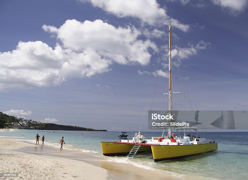 Sailing in paradise  Aquatic Organism Stock Photo