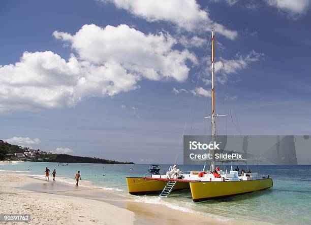 Sailing In Paradise Stock Photo - Download Image Now - Aquatic Organism, Atlantic Ocean, Beach