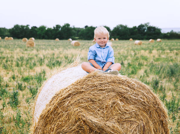 istock Cute toddler boy sitting on haystacks at wheat field. 903925668