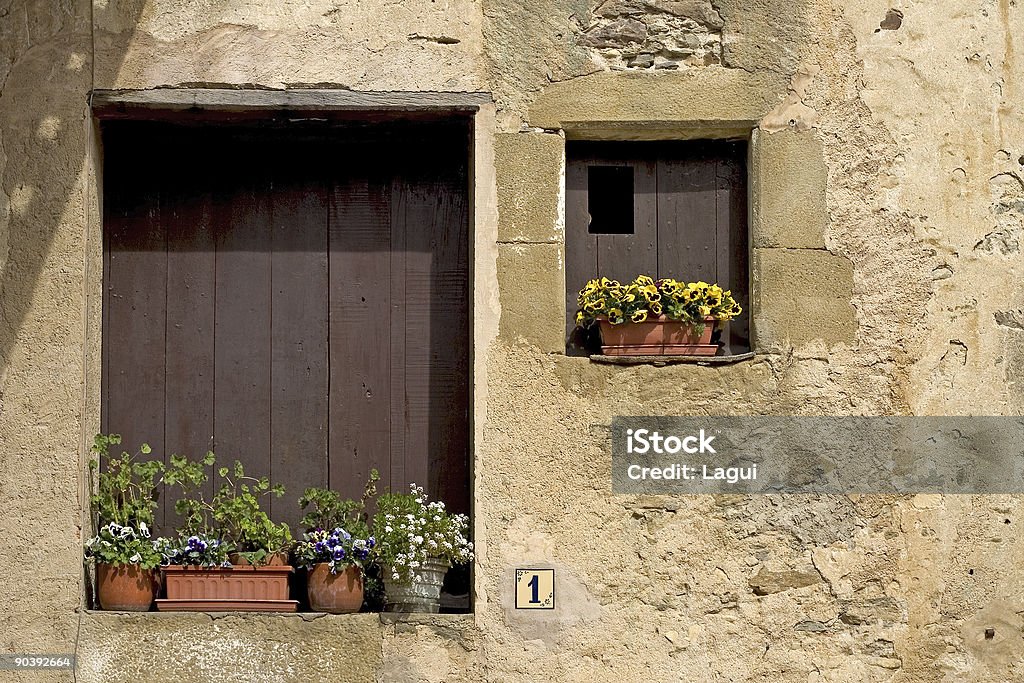 Windows  Blossom Stock Photo