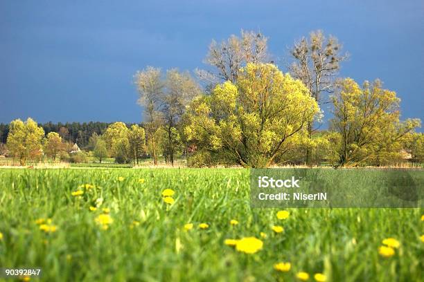 Prado Verde - Fotografias de stock e mais imagens de Aldeia - Aldeia, Amarelo, Antártida