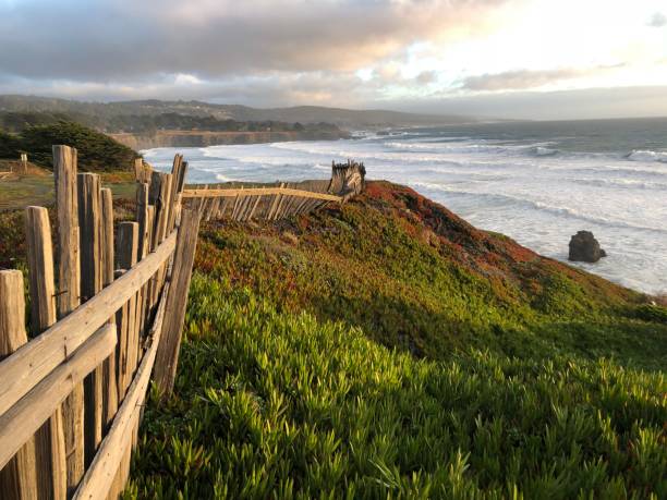 istock Old fence by Pacific Ocean 903928592