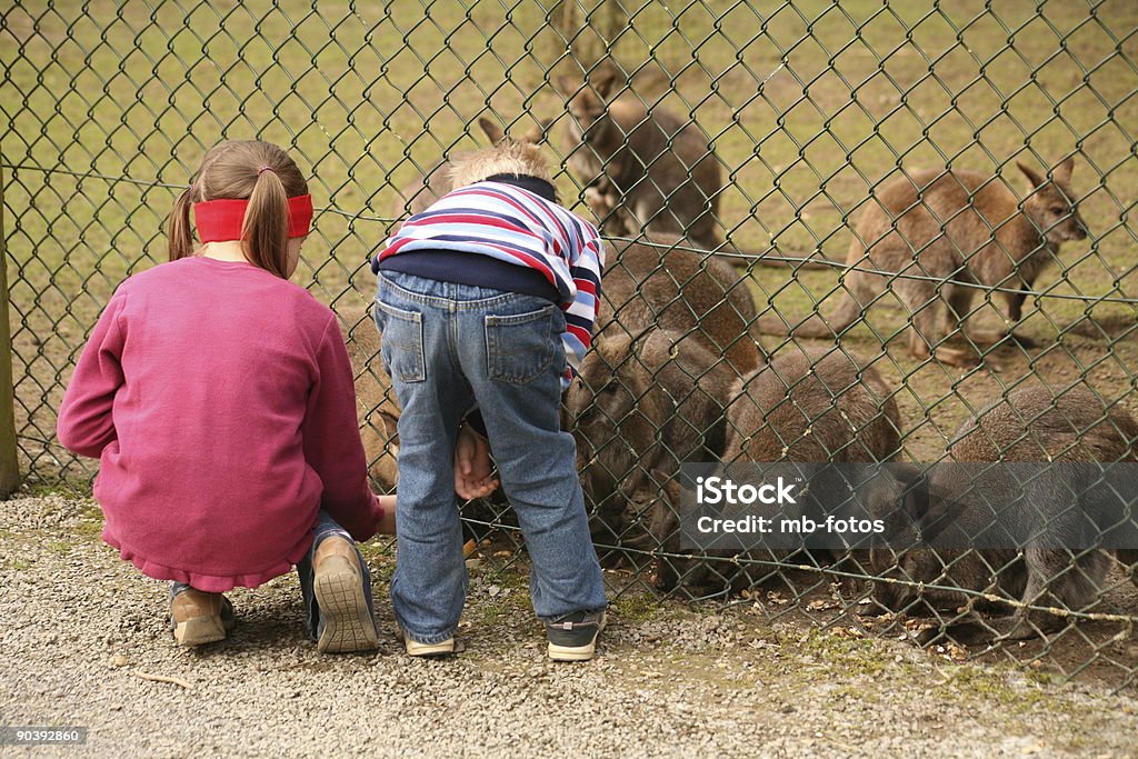 Zoo attendance  Animal Stock Photo