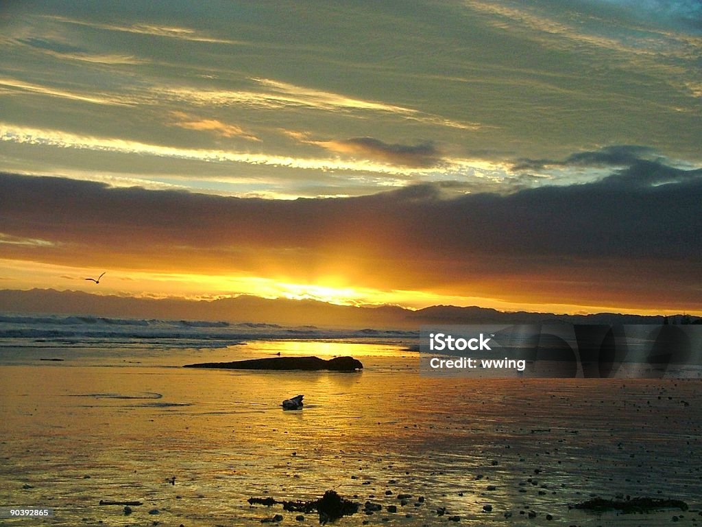 Tidal Sunrise Beach Stock Photo