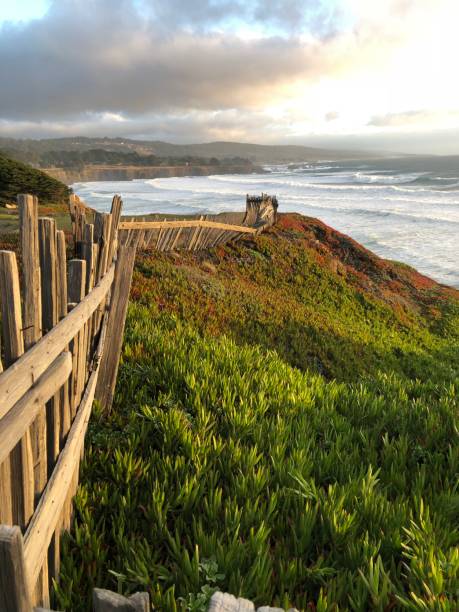 istock Old fence by Pacific Ocean 903928880