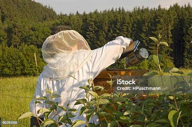 Apicultor Foto de stock y más banco de imágenes de Abeja - Abeja, Aire libre, Apicultor