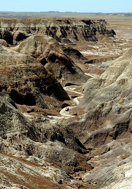 istock Landscape : Petrified Forest National Park Canyon Pass 90393482