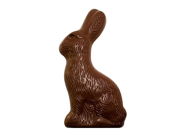 Chocolate Easter Bunny stock photo