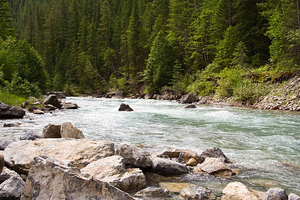 istock Lussier River in the Rocky Mountains 90393875
