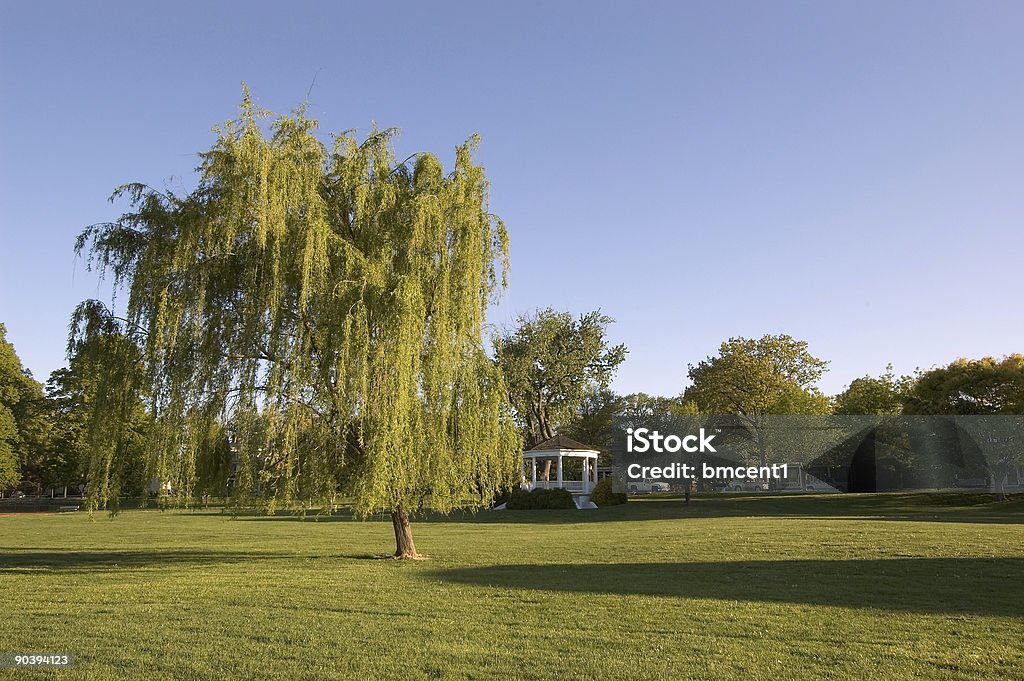 Salice piangente e Gazebo - Foto stock royalty-free di Albero