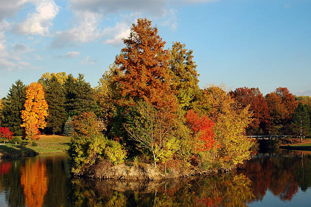 istock Island of Color 90394620