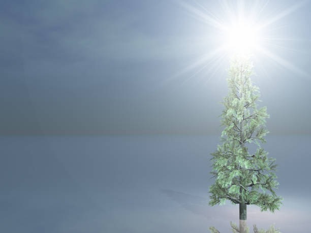 Cтоковое фото Рождественская елка на открытом воздухе с яркой звездой