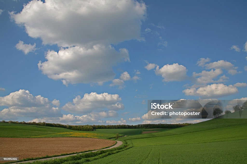 grassland - Foto de stock de Azul royalty-free